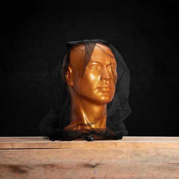 [M10B0001-1BK] INSECT HEAD NET