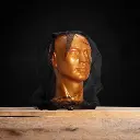 INSECT HEAD NET