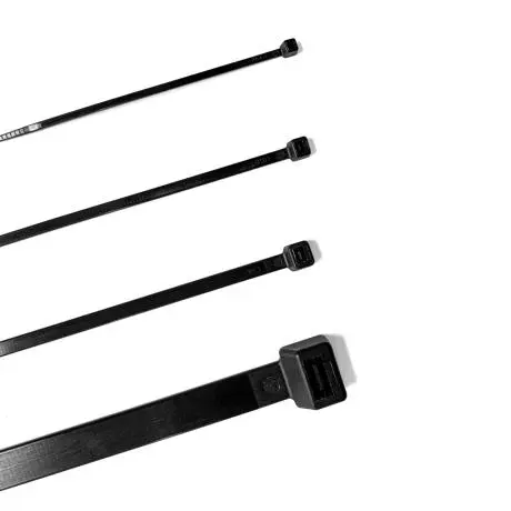 [CT102B] NYLON CABLE TIES (100mm, 100, 2.5mm)