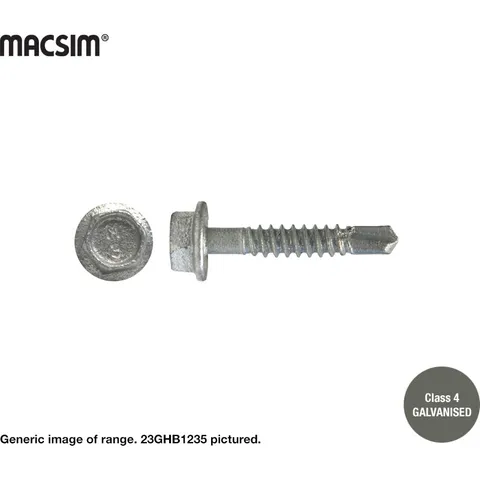 12G HEX HEAD SCREW C4 GALV SDS
