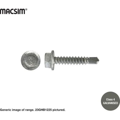 [23GHBF1245x100] 12G HEX HEAD SDS C4 SCREW Full Thread