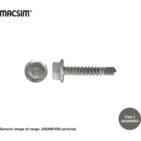 10G Hex Head Screw SDS Galv